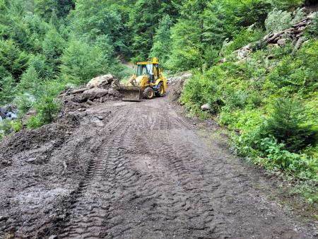 Cesta v Kacnpoh (Boštjan Uršič)-1800